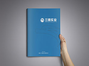 河南三鷹實(shí)業(yè)畫冊設(shè)計